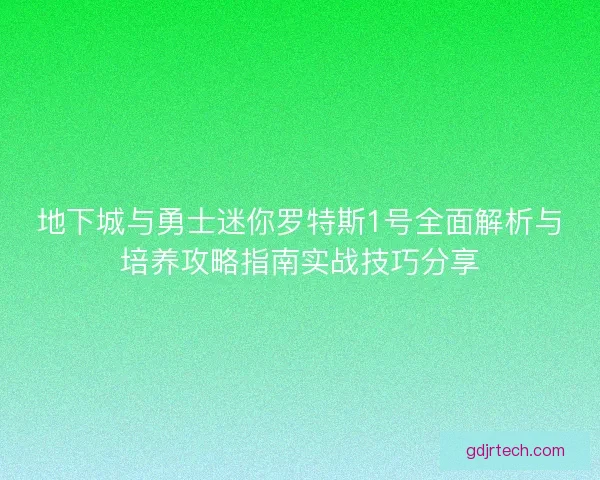 地下城与勇士迷你罗特斯1号全面解析与培养攻略指南实战技巧分享